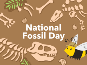 nationalfossilday..png