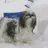 KimiCoconuts